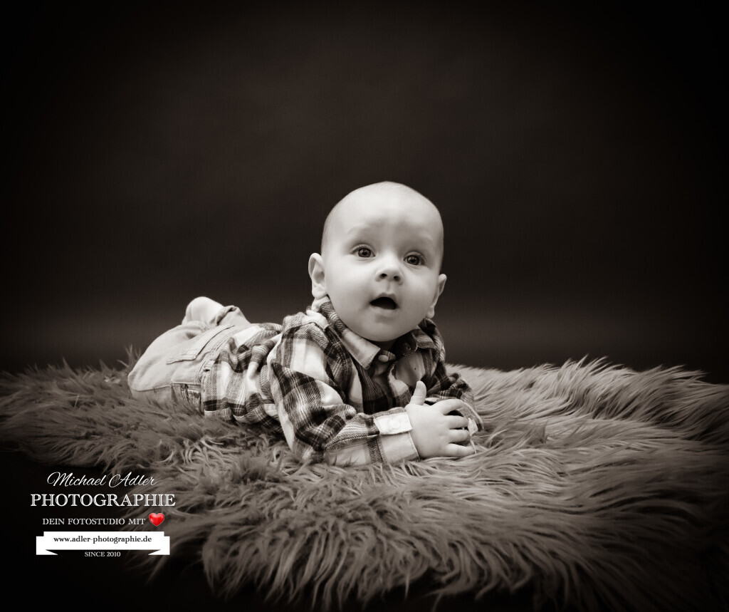 Bilder Adler Photographie Fotostudio mit Herz