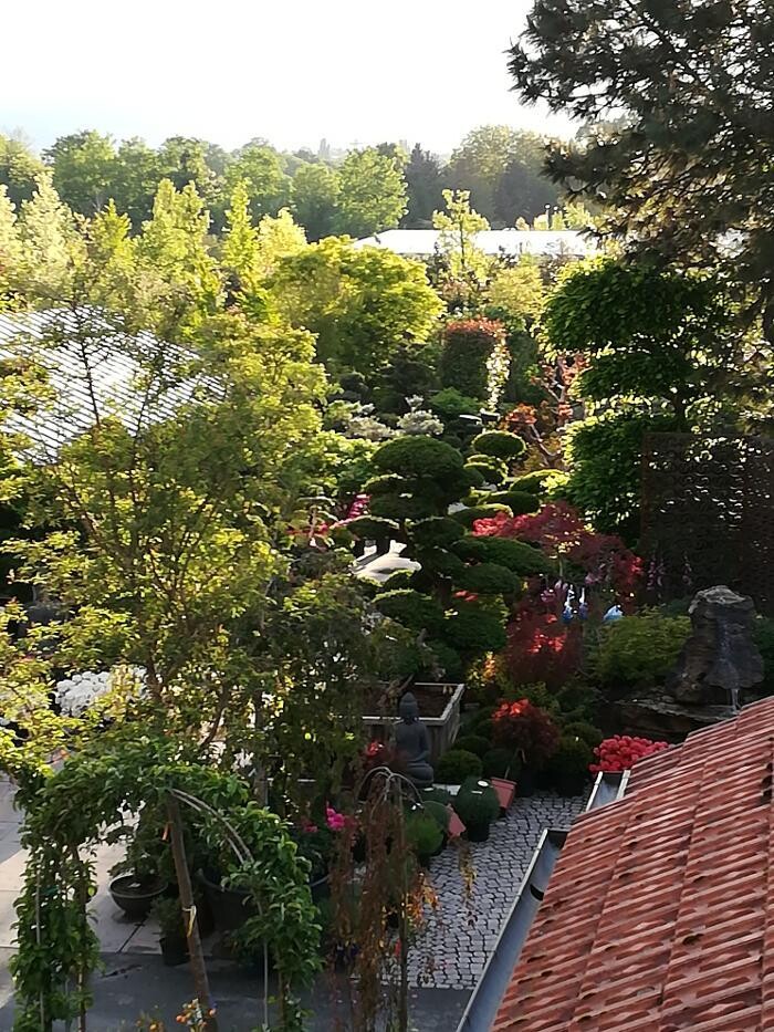 Bilder Baumschule Peselmann