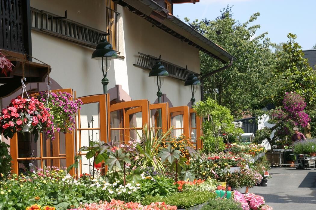 Bilder Baumschule Peselmann