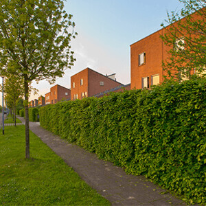 Bilder 123 - Hausmeisterei