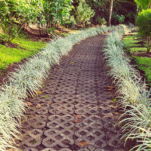 Bilder 123 - Hausmeisterei