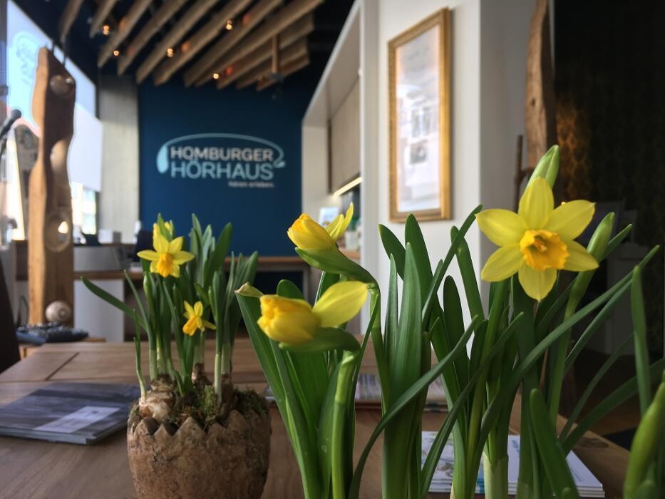 Bilder Homburger Hörhaus, Leppert & Weidmann OHG