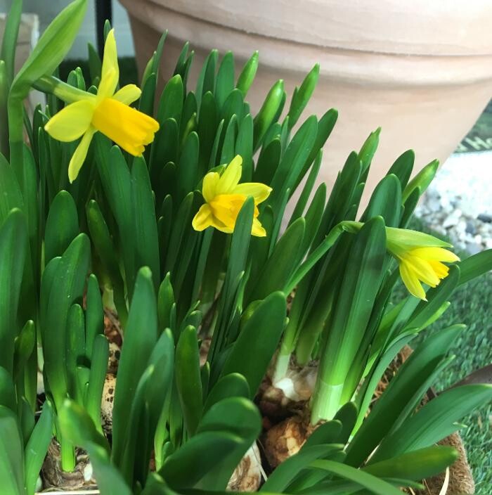 Bilder Homburger Hörhaus, Leppert & Weidmann OHG