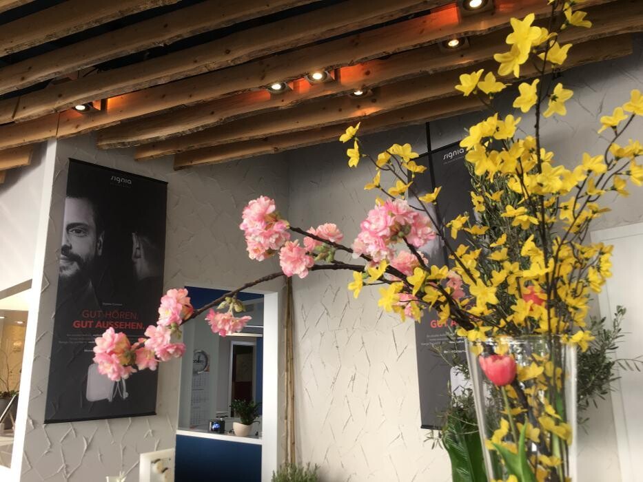 Bilder Homburger Hörhaus, Leppert & Weidmann OHG