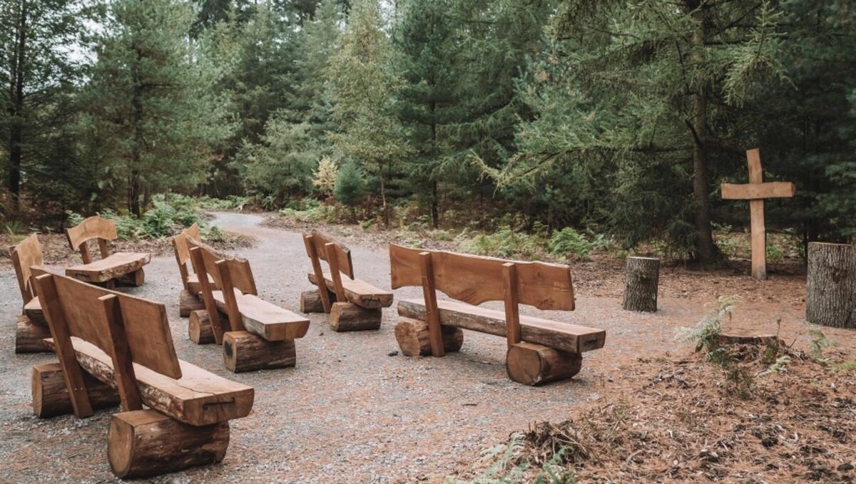 Bilder FriedWald Niederkrüchten