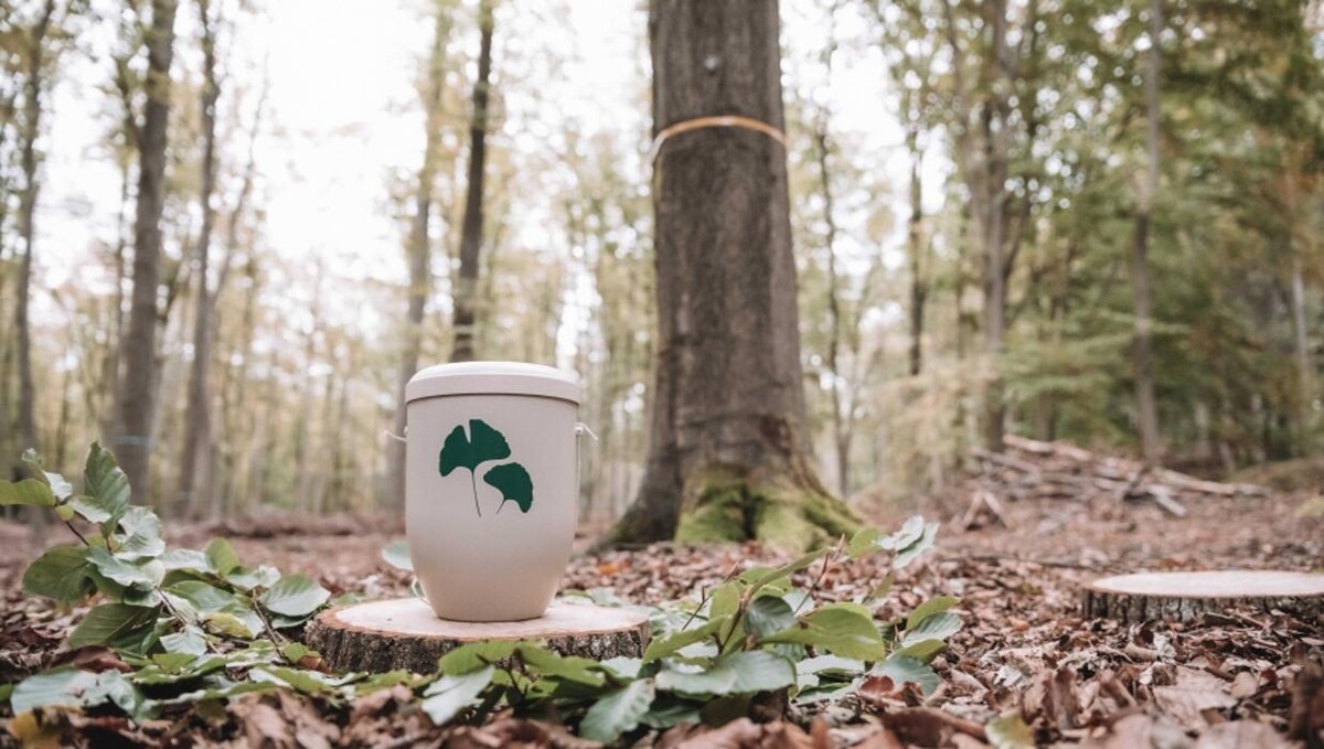 Bilder FriedWald Niederkrüchten