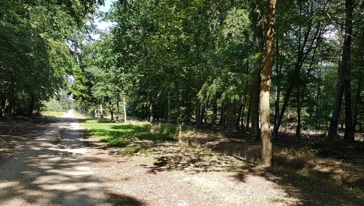 Bilder FriedWald Niederkrüchten