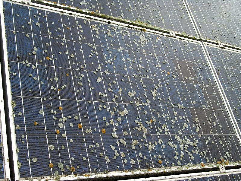 Bilder Photovoltaik & Gebäudereinigung Frank Galley