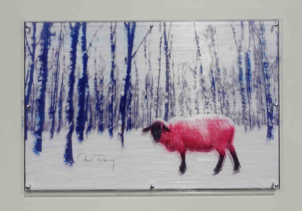 Bilder Kunsthandel Koenen ART NETWORK