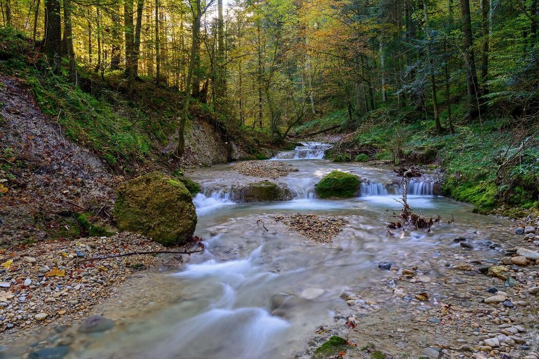 Bilder Scheidegger Wasserfälle