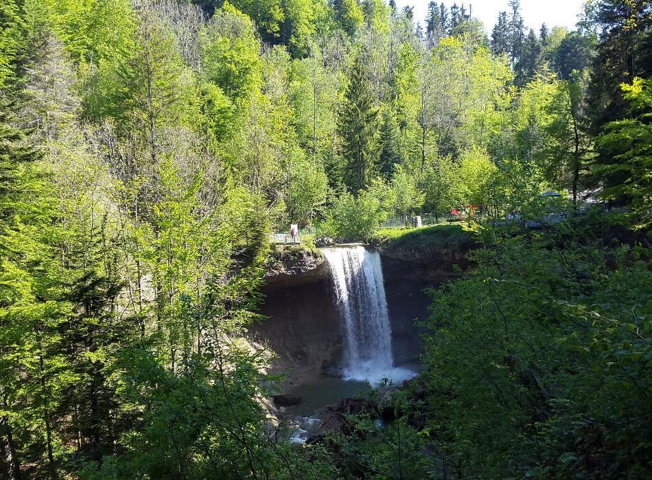 Bilder Scheidegger Wasserfälle