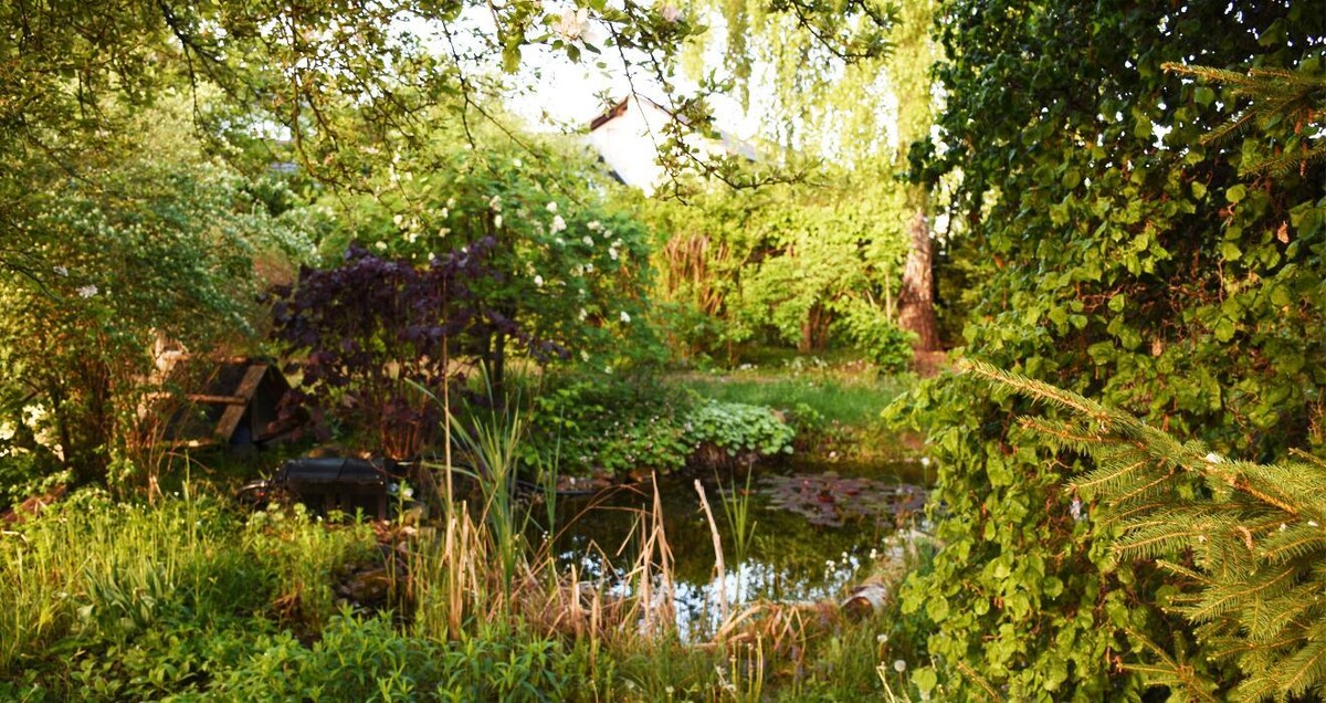 Bilder Gartenbauer.com - Gartengestaltung, Gartenbau & Gartenpflege