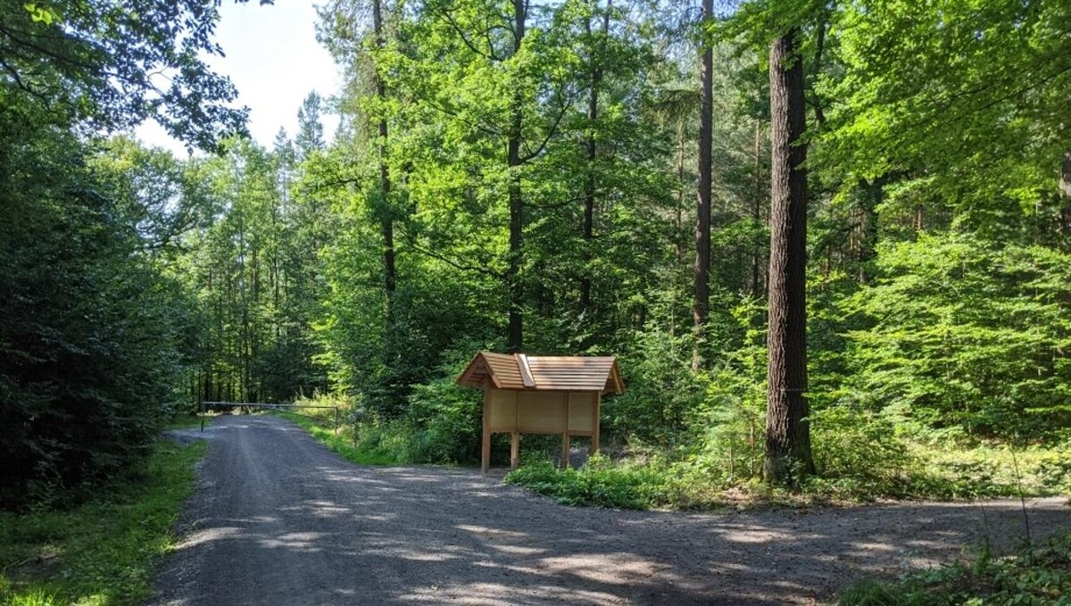Bilder FriedWald Rudolstädter Hain
