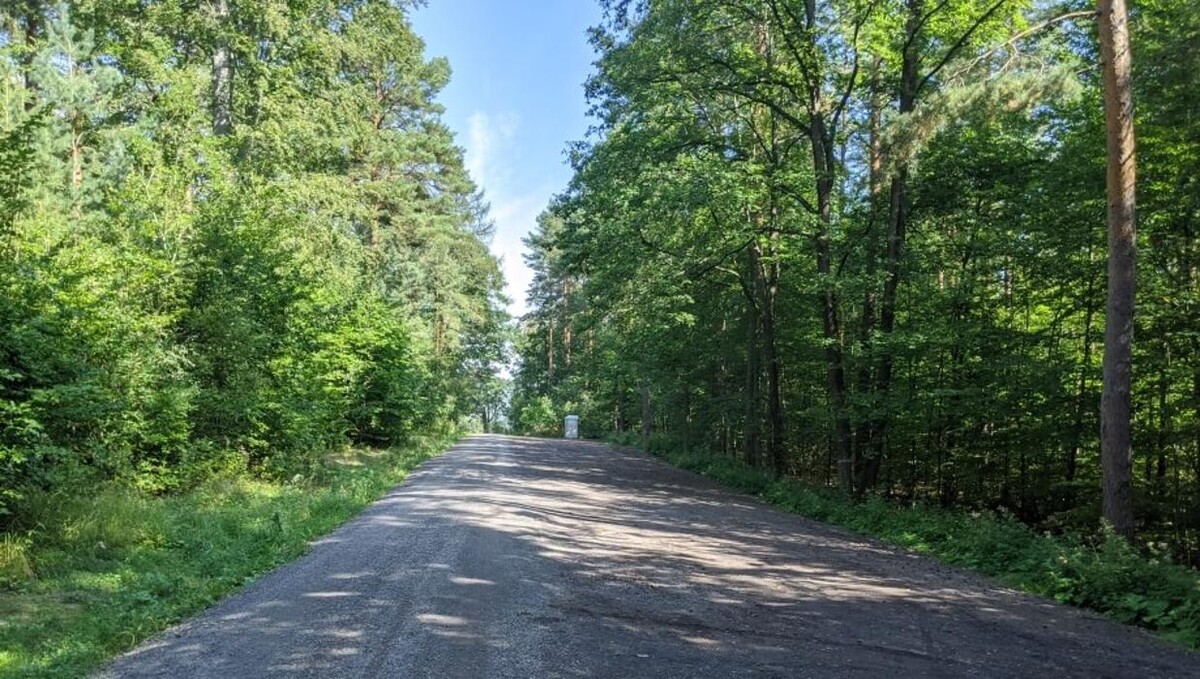 Bilder FriedWald Rudolstädter Hain