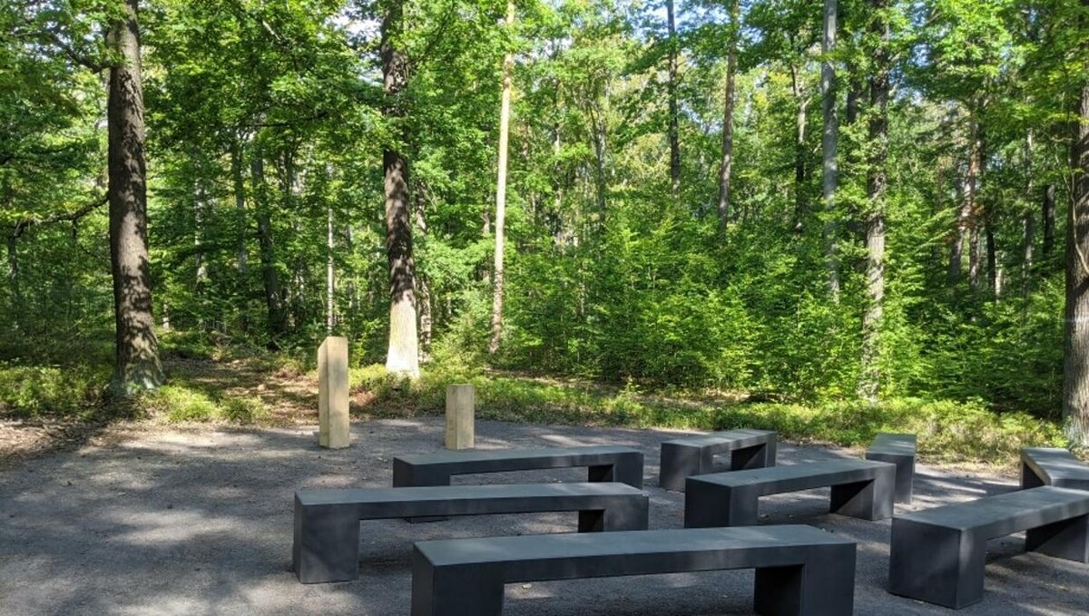 Bilder FriedWald Rudolstädter Hain