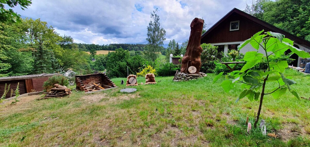 Bilder Ronny Enzmann, der Waldschamane