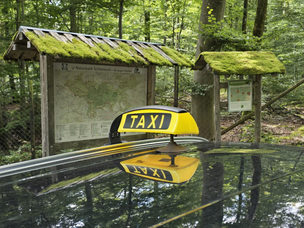 Bilder Renna Taxi Tübingen