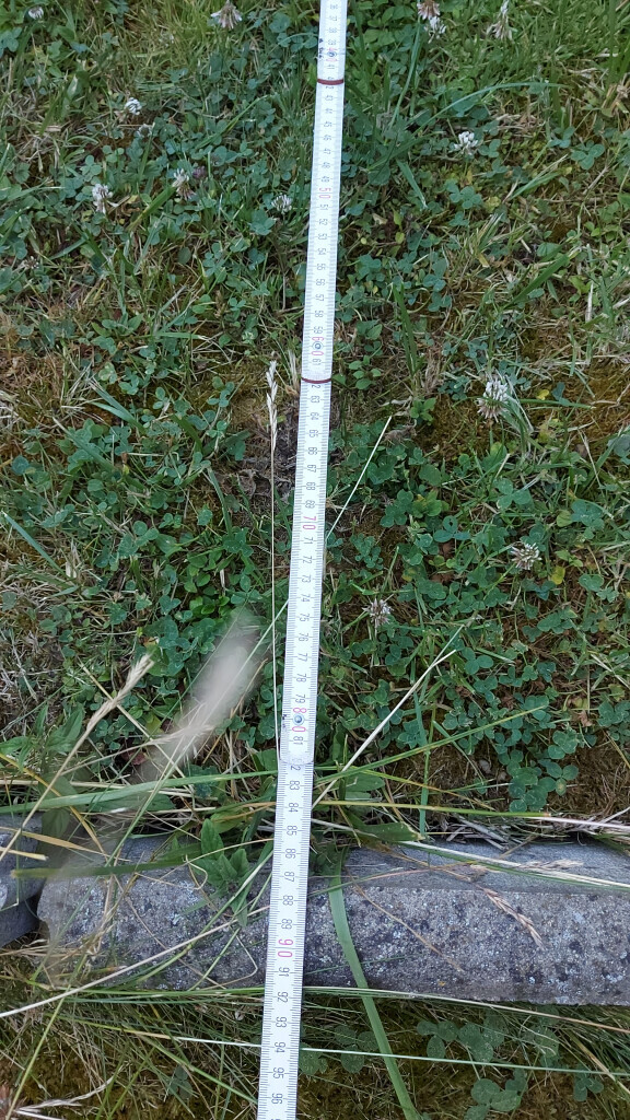 Bilder HMS - Handwerker Maik Ströhlein