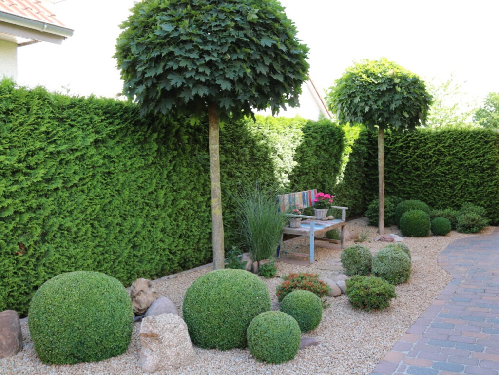 Bilder Hoxha Gartengestaltung & Pflege