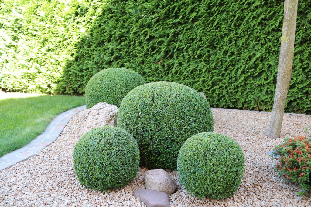 Bilder Hoxha Gartengestaltung & Pflege