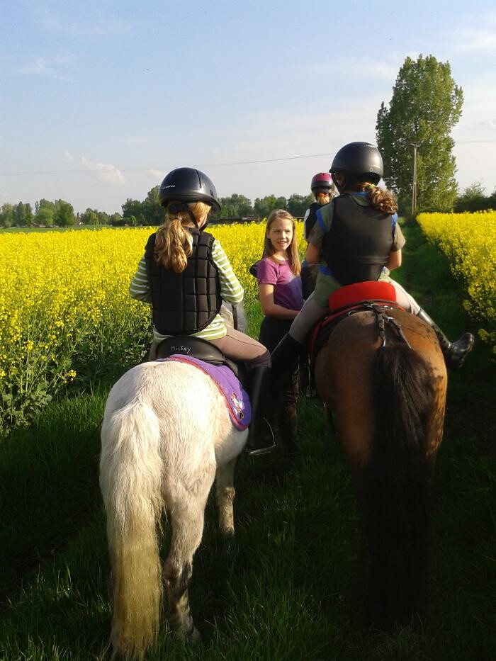 Bilder Reiten mit Achtsamkeit Angelika Rose