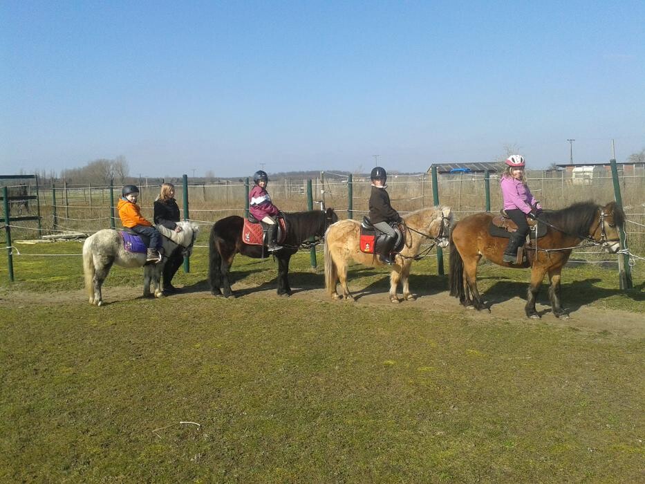 Bilder Reiten mit Achtsamkeit Angelika Rose