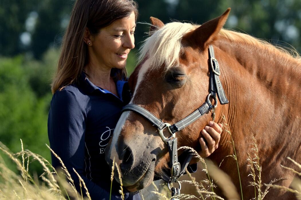 Bilder Reiten mit Achtsamkeit Angelika Rose