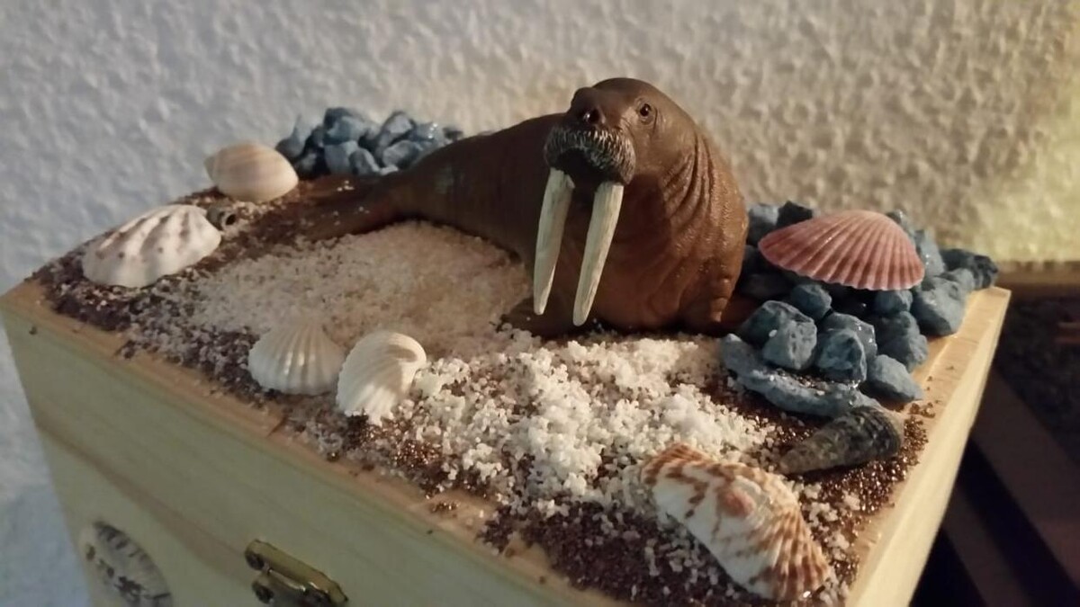 Bilder Michael Kugler