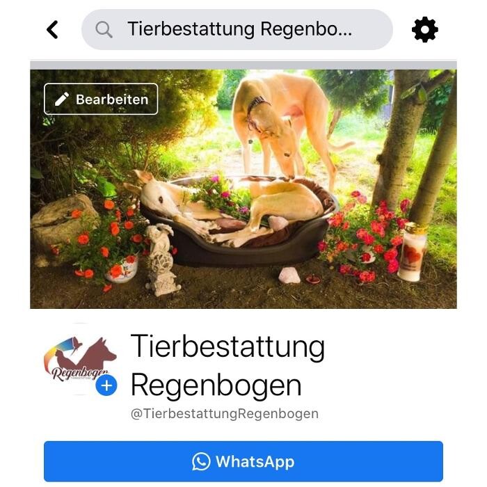 Bilder Tierbestattung Regenbogen