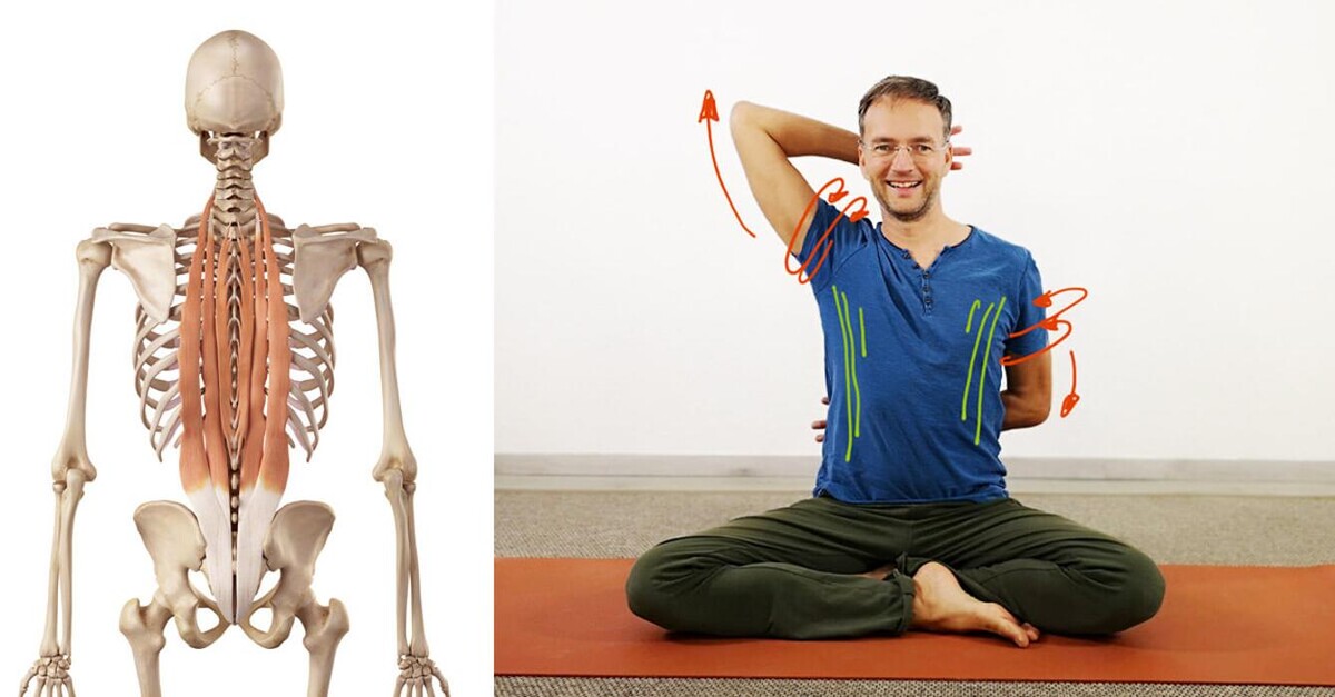 Bilder YOGABASICS