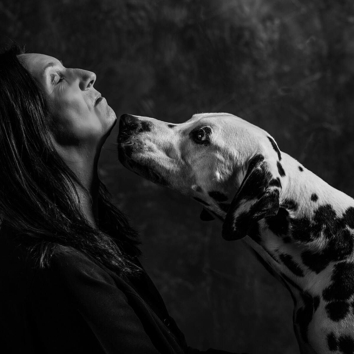 hunde-motivation Logo