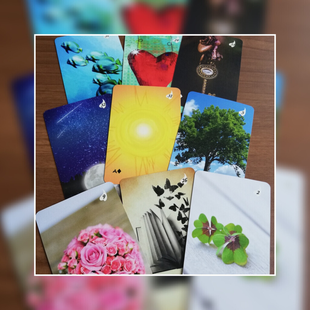 Bilder Sylvia Schlegelmilch