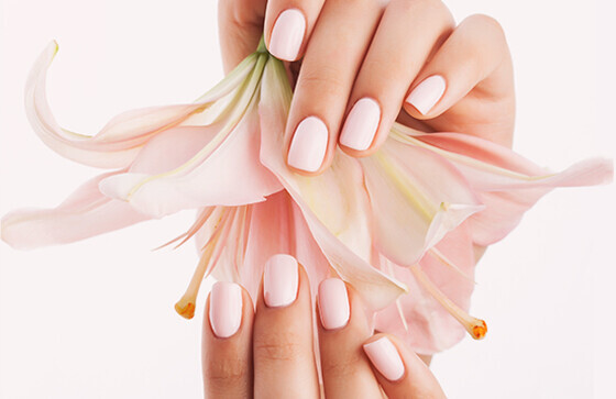 Bilder Beautiful Nails & Kosmetische Fußpflege