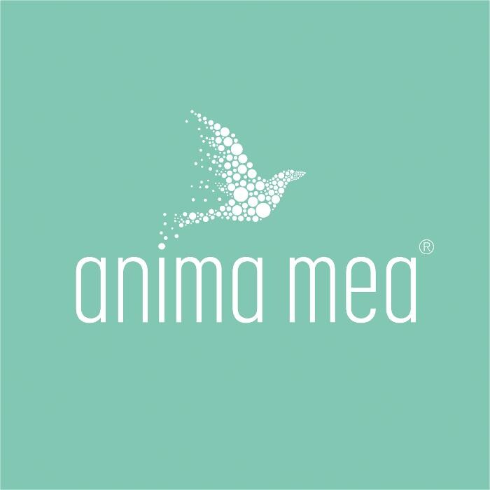 anima mea - Coaching Institut Sevda Sakiner und Stefan Kozole GbR Logo