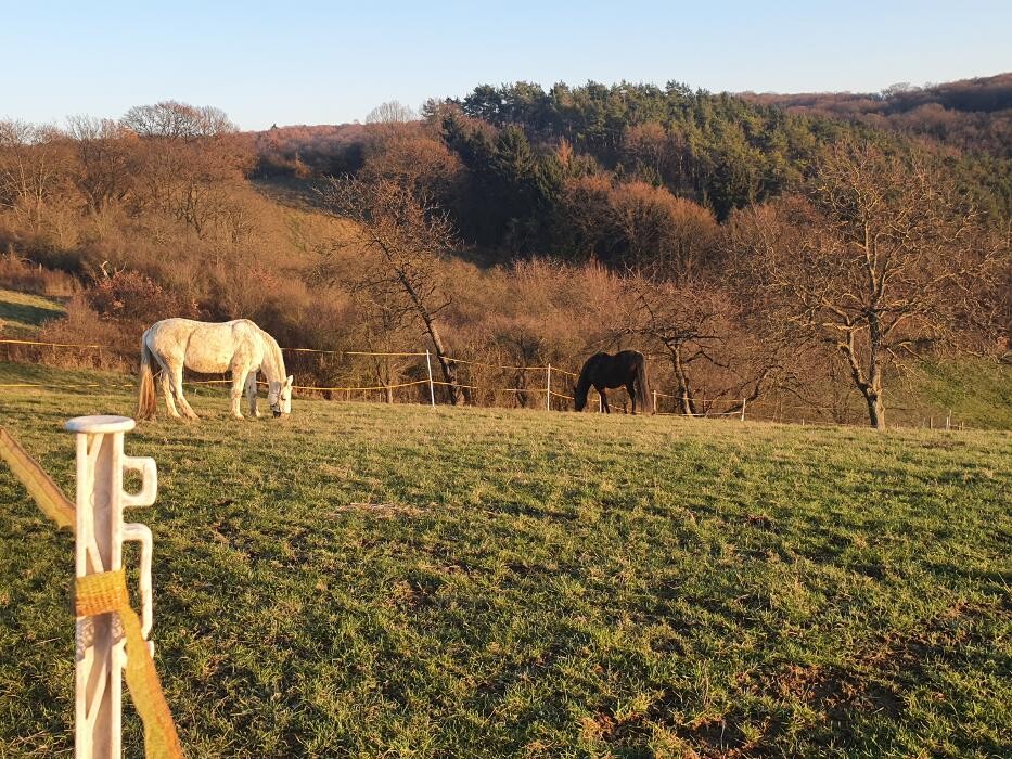 Bilder Ferienwohnung Schlossblick Bad Breisig