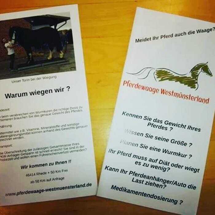 Bilder Pferdewaage Westmünsterland