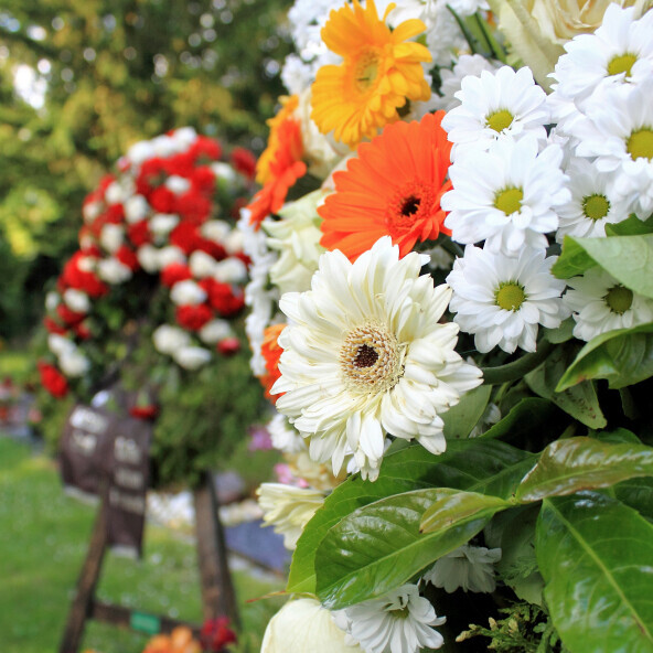 Bilder Friedhofsgärtnerei Paeseler