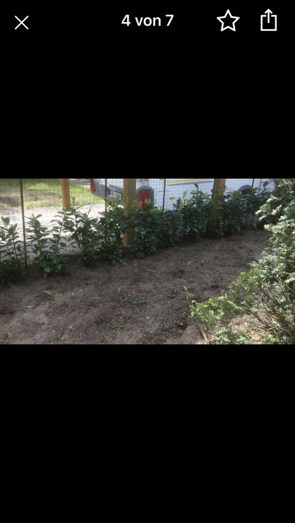 Bilder Garten & Sparten