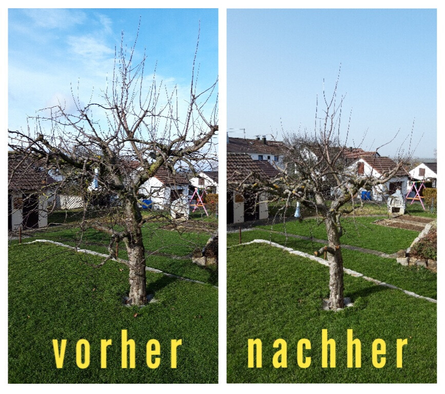 Bilder HVD Service