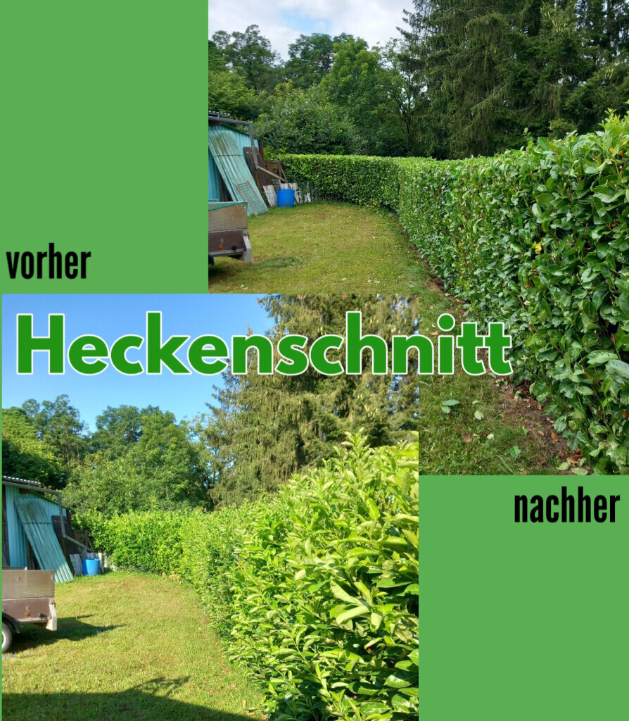 Bilder HVD Service