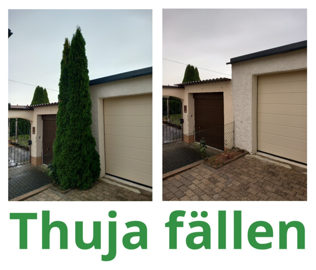 Bilder HVD Service