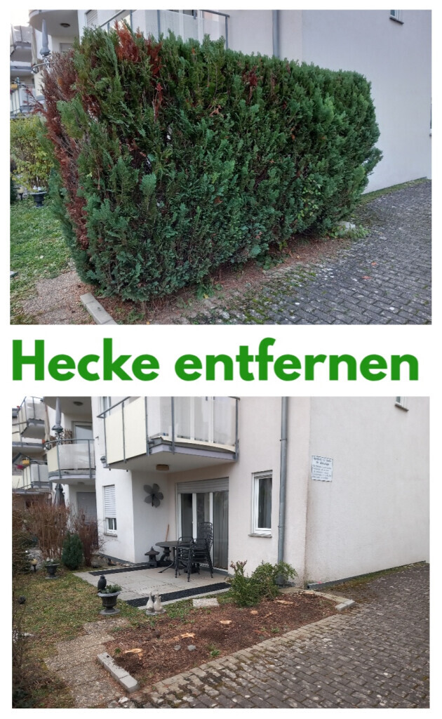 Bilder HVD Service