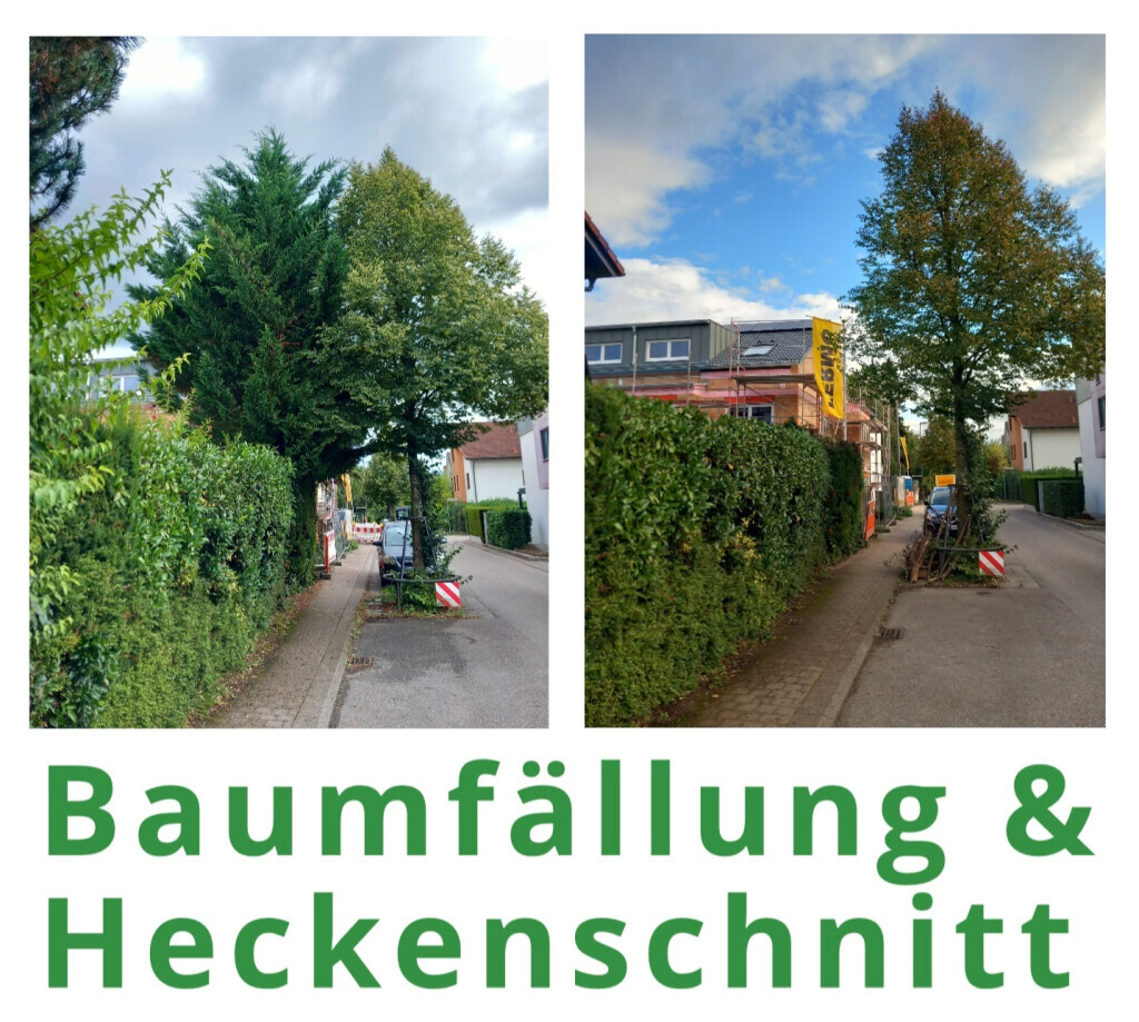 Bilder HVD Service