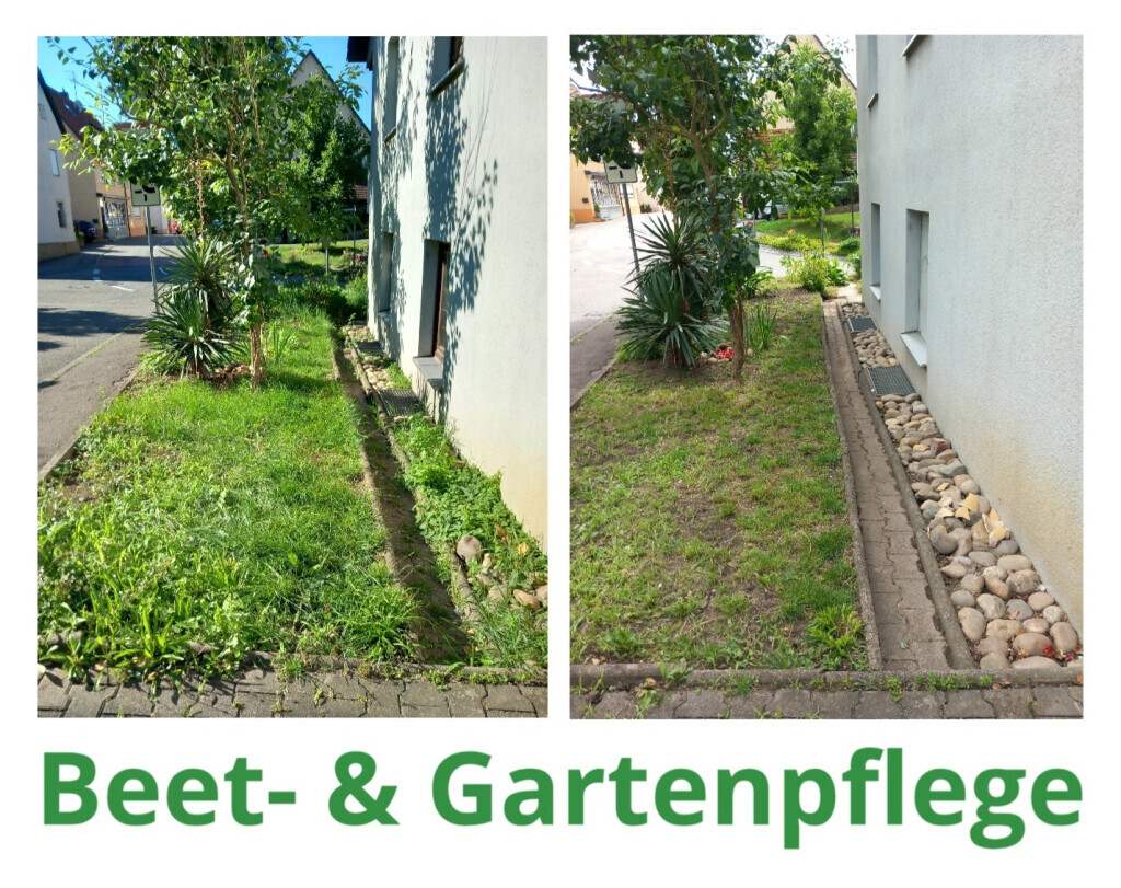 Bilder HVD Service