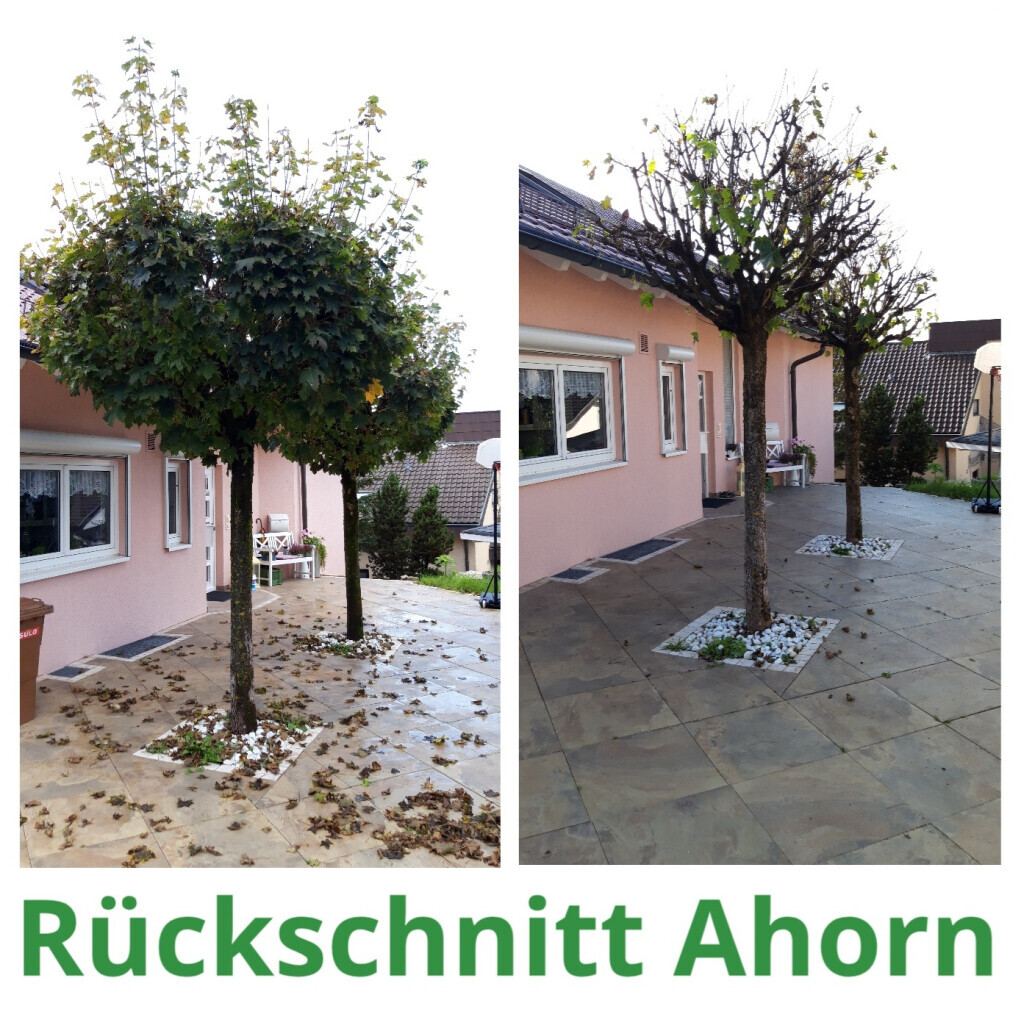 Bilder HVD Service