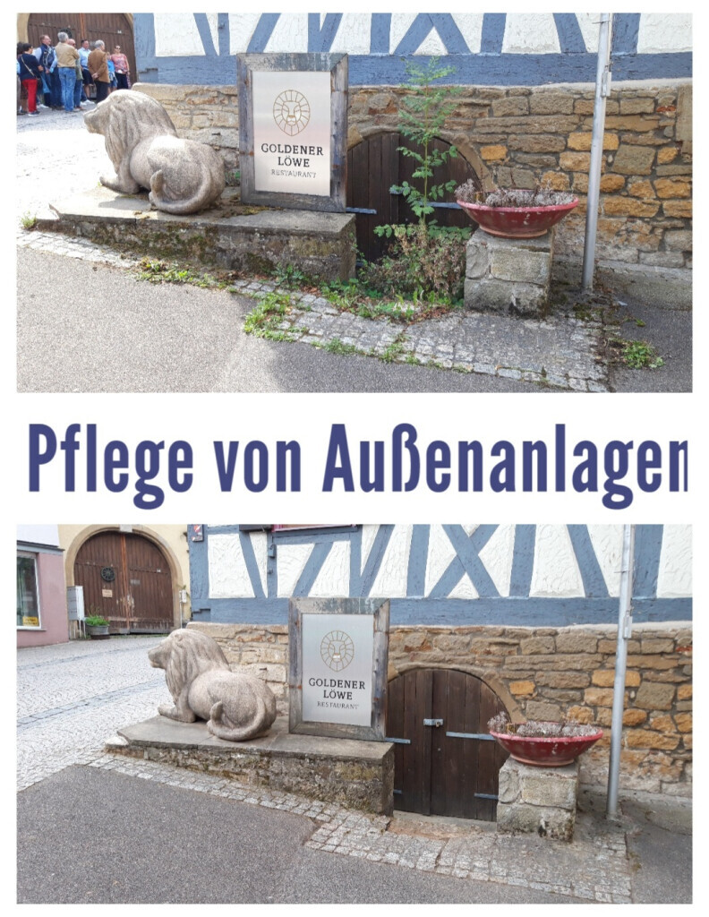 Bilder HVD Service
