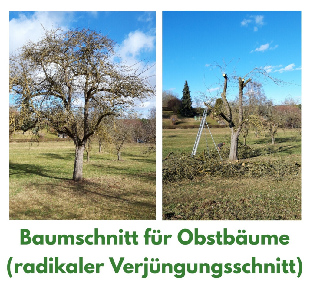 Bilder HVD Service