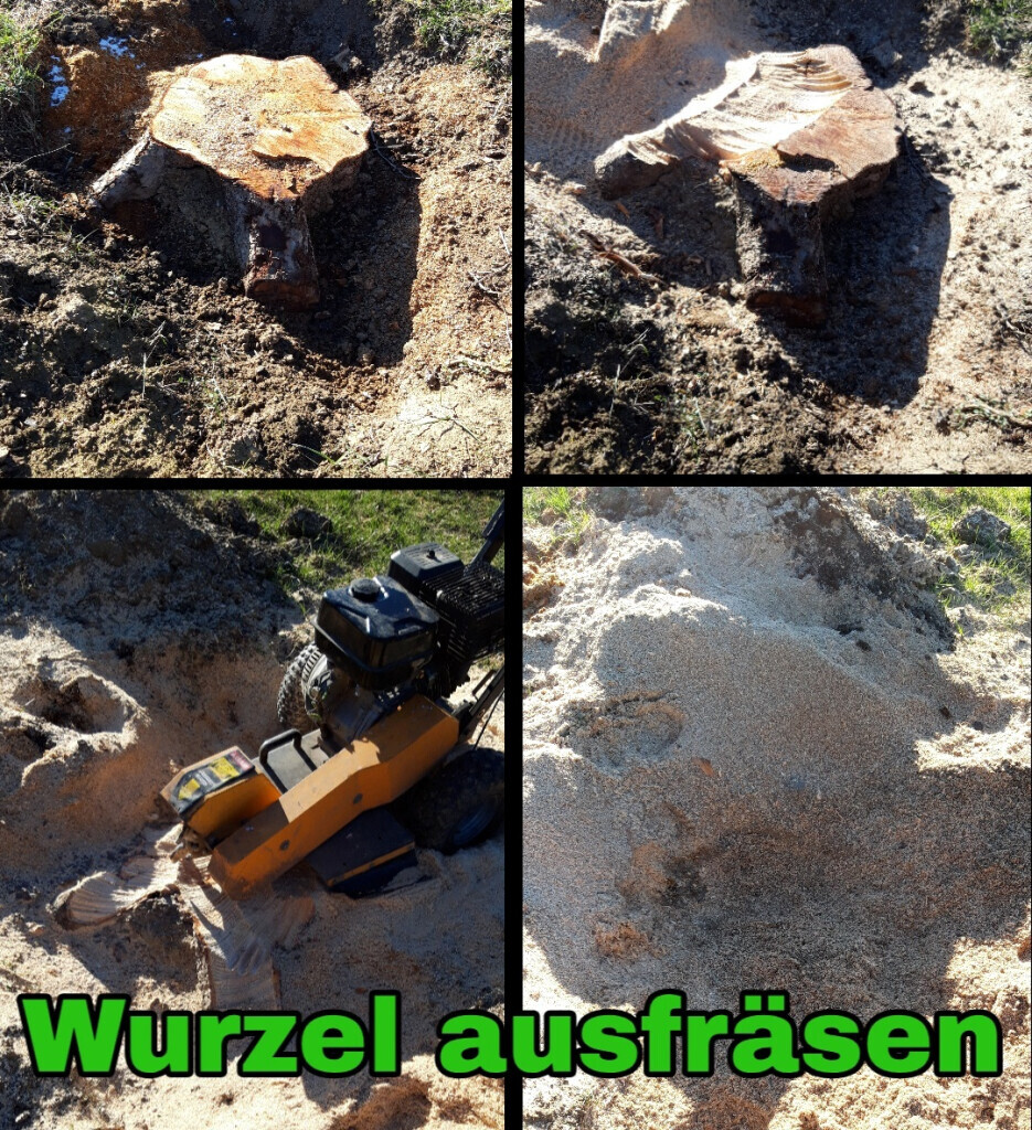 Bilder HVD Service