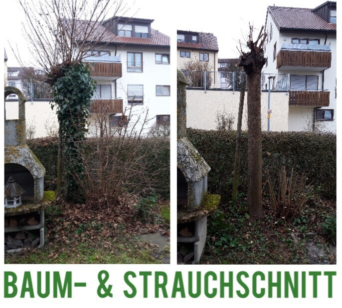 Bilder HVD Service