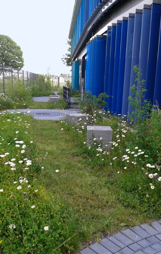 Bilder naturplan Landschaftsplanung Dipl.-Ing. S. Müllensiefen